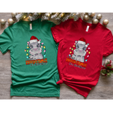 I Want a Hippopotamus for Christmas T-Shirt Bella Canvas T-shirt