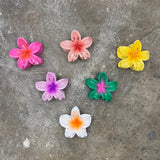 Hibiscus Clip