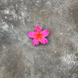Hibiscus Clip