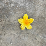 Hibiscus Clip