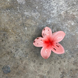 Hibiscus Clip