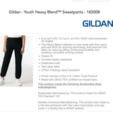 Heritage Trails Hawks Pennant Youth Joggers