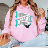Heritage Trails Hawks Pennant Adult Hoodie