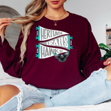 Heritage Trails Hawks Pennant Adult Long Sleeve TShirt